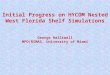 Initial Progress on HYCOM Nested West Florida Shelf Simulations George Halliwell MPO/RSMAS, University of Miami