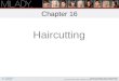 Chapter 16 Haircutting Learning Objectives Identify the reference points on the head and understand their role in haircutting. Define lines, sections,