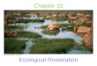 Chapter 10 Ecological Restoration. The Balance of Nature –An environmental myth that states that the natural environment, when not influenced by human