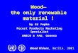 Wood Visions, Berlin, 2001 Wood— the only renewable material ! by Ed Pepke Forest Products Marketing Specialist UNECE & FAO, Geneva