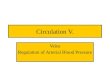 Circulation V. Veins Regulation of Arterial Blood Pressure