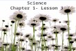 Science Chapter 1- Lesson 3. Plants obtain air and sunlight directly from their environments. Transporting water and nutrients can be very difficult