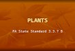 PLANTS PA State Standard 3.3.7 B. What are the basic types of plants? Nonvascular: Algae Algae Chlorophyta Chlorophyta Phaeophyta Phaeophyta Rhodophyta