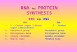 RNA AND PROTEIN SYNTHESIS RNA vs DNA RNADNA 1. 5 – Carbon sugar (ribose) 5 – Carbon sugar (deoxyribose) 2. Phosphate group Phosphate group 3. Nitrogenous
