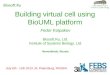 Building virtual cell using BioUML platform Fedor Kolpakov Biosoft.Ru, Ltd. Institute of Systems Biology, Ltd. Novosibirsk, Russia Biosoft.Ru July 6th