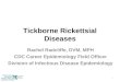 Tickborne Rickettsial Diseases Rachel Radcliffe, DVM, MPH CDC Career Epidemiology Field Officer Division of Infectious Disease Epidemiology 1