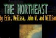 The Geography Of the Northeast By William Lewental The Northeast has many amazing geographical features. Including the Appalachian Mts., the coastal plains