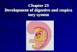 Chapter 23 Development of digestive and respiratory system