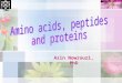 1 Azin Nowrouzi, PhD TUMS. 2 Proteins Most abundant biological macromolecules. In all cells and all parts of cells. Great variety –Different kinds –Different