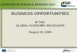 BUSINESS OPPORTUNITIES IN THE GLOBAL ECONOMIC RECESSION August 20, 2009 CORPORATE FINANCE BROKER UNIT