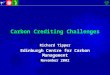 Carbon Crediting Challenges Richard Tipper Edinburgh Centre for Carbon Management November 2002