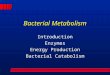 Bacterial Metabolism Introduction Enzymes Energy Production Bacterial Catabolism