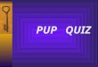 PUP QUIZ. 1.FAME 2. X FILES 3. POPEYE 4. BENNY HILL 5. ALLY McBEAL 6. PERRY MASON TELEVISION CULTURE