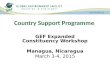Country Support Programme GEF Expanded Constituency Workshop Managua, Nicaragua March 3-4, 2015