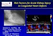 Risk Factors for Acute Kidney Injury in Congenital Heart Defects Ronald G. Grifka, MD Chief, Cardiology Division Helen DeVos Children’s Hospital Professor
