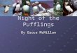 Night of the Pufflings By Bruce McMillan. Meet the Author Bruce McMillan Bruce McMillan