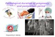 Pathological duration of pregnancy, labor and postpartum period Prepared by N. Bahniy