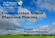 Conservation Action Planning Process Target Viability/Integrity: An Iterative Process