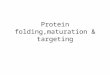 Protein folding,maturation & targeting. Secretory pathway: signal peptide recognition
