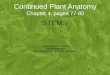 Continued Plant Anatomy Chapter 4, pages 77-80 STEMS