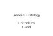 General Histology Epithelium Blood. Fertilization: formation of zygote