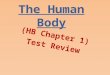 The Human Body (HB Chapter 1) Test Review. Directs the cell’s activities and holds information that controls a cell’s function. nucleus