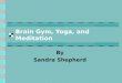 Brain Gym, Yoga, and Meditation By Sandra Shepherd