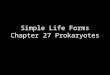Simple Life Forms Chapter 27 Prokaryotes. Numbers Prokaryotes have a collective biomass ten times that of all eukaryotes Number in a handful of soil is