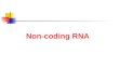Non-coding RNA. What is noncoding RNA? Non-coding RNA (ncRNA) is a RNA molecule that functions without being translated into a protein