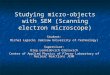 Studying micro-objects with SEM (Scanning electron microscope) Student: Michał Łępicki (Warsaw University of Technology) Supervisor: Oleg Leonidovich Orelovich