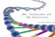 DNA, Chromosomes and DNA Replication Dr.Aida Fadhel Biawi
