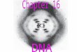 I. DNA is the genetic material A. Time Line 1. 1866- Mendel's Paper 2. 1875- Mitosis worked out 3. 1890's- Meiosis worked out 4. 1902- Sutton connect