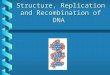 Structure, Replication and Recombination of DNA. Information Flow From DNA DNA RNA transcription Protein translation replication