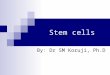 Stem cells By: Dr SM Koruji, Ph.D. What are Stem Cells? Stem Cells are extraordinary because: They can divide and make identical copies of themselves