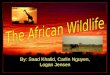 By: Saad Khalid, Carlin Nguyen, Logan Jensen. Welcome to the Twisty Path of the Gahiji Safari!