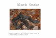 Black Snake Smooth scales; all black; may have a little white under chin