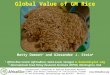 Global Value of GM Rice Matty Demont a and Alexander J. Stein b a Africa Rice Center (AfricaRice), Saint-Louis, Senegal, m.demont@cgiar.org b International