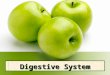 Digestive System. Digestive System Rap Job of Digestive System Break down food (macromolecules) into nutrients & energy