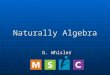 Naturally Algebra G. Whisler. (c) MathScience Innovation Center, 2007 NATURALLY ALGEBRA