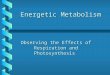 Energetic Metabolism Observing the Effects of Respiration and Photosynthesis
