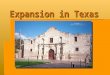 Expansion in Texas. Americans Settle in the Southwest   Very few Mexicans lived in the area of Texas despite its:   Natural resources   Climate