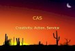 CAS Creativity, Action, Service. Why do we have to do CAS hours? ◊Creativity, action, service (CAS) is at the heart of the Diploma Program. It involves