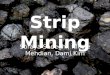 Strip Mining Soraya Sadeghi, Nicole Mehdian, Dami Kim