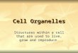 Cell Organelles Structures within a cell that are used to live, grow and reproduce