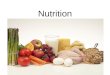 Nutrition. Nutrition is: The taking in and use of food and other nourishing material by the body. 