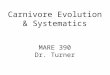 Carnivore Evolution & Systematics MARE 390 Dr. Turner