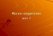Micro-organisms Unit 7. Germ Theory Proposed by Scientist: Luis Pasteur. All diseases are caused by small organisms that can only be seen with a microscope