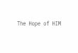 The Hope of HIM. Matt Beglinger Medical Software Consultant