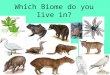 Which Biome do you live in?. What is a Biome? An region characterized by the major organisms that live there and its climate. –Can you name one?