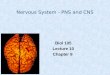 Nervous System - PNS and CNS Biol 105 Lecture 10 Chapter 8